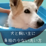 dog-washアイキャッチ